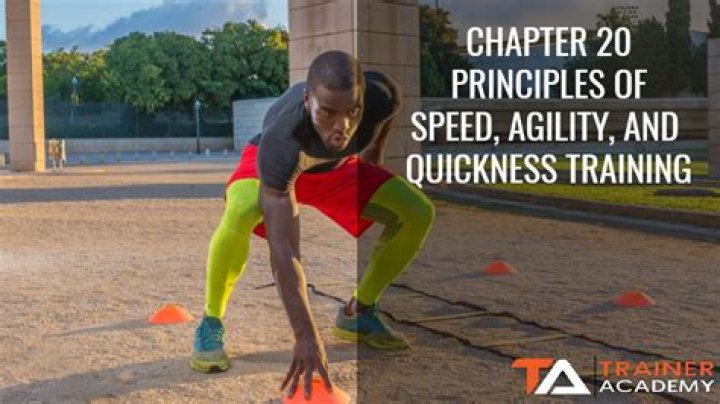 A Journey Of Speed, Agility, And Inspiration