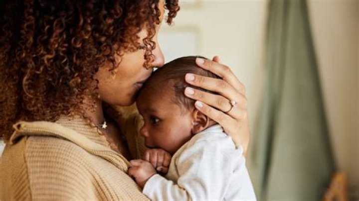 A Window Into Motherhood And Family