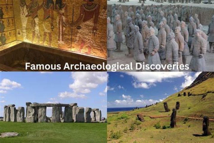 Discoveries And Insights For The Lins16 Niche